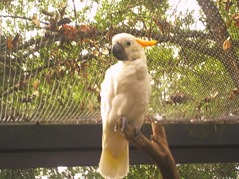phot0105.jpg
