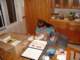 dsc01230_small.jpg